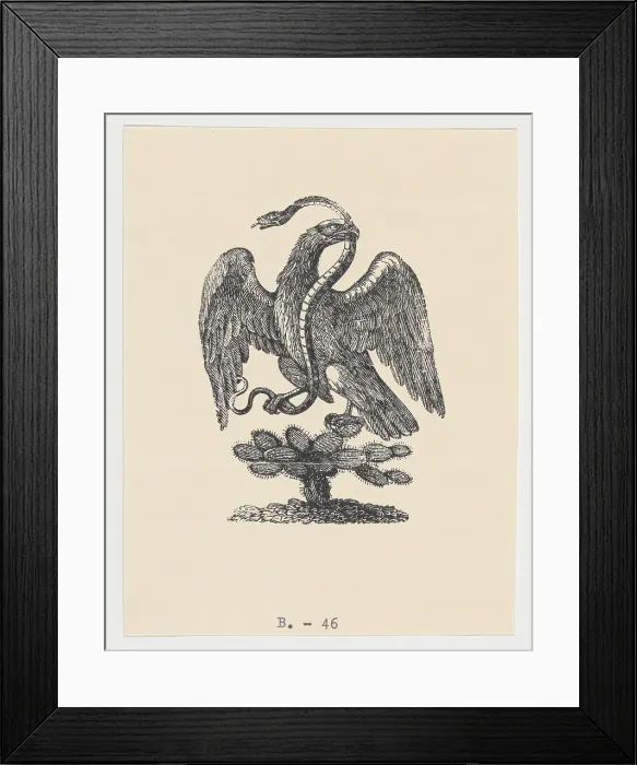 Framed Print : An eagle resting on a cactus holding a snake in its beak (from the Mexican coat of... ca 1900-1910. Creators: Anon, José Guadalupe Posada) Framed Print : An eagle resting on a cactus holding a snake in its beak (from the Mexican coat of... ca 1900-1910. Creators: Anon, José Guadalupe Posada)