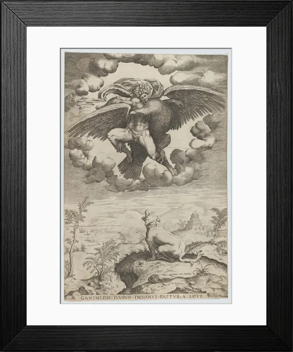 Framed Print : The Rape of Ganymede, 1542-60. Creator: Anon Framed Print : The Rape of Ganymede, 1542-60. Creator: Anon