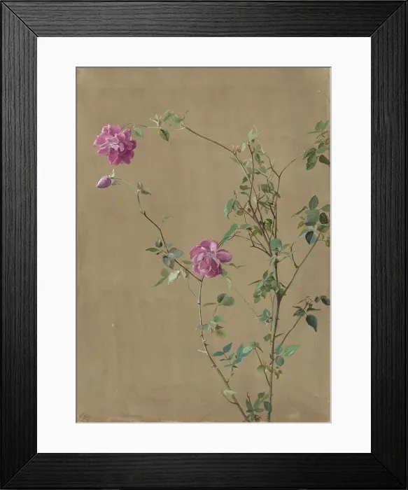 Framed Print : Pink Roses, 1875. Creator: Fidelia Bridges Framed Print : Pink Roses, 1875. Creator: Fidelia Bridges