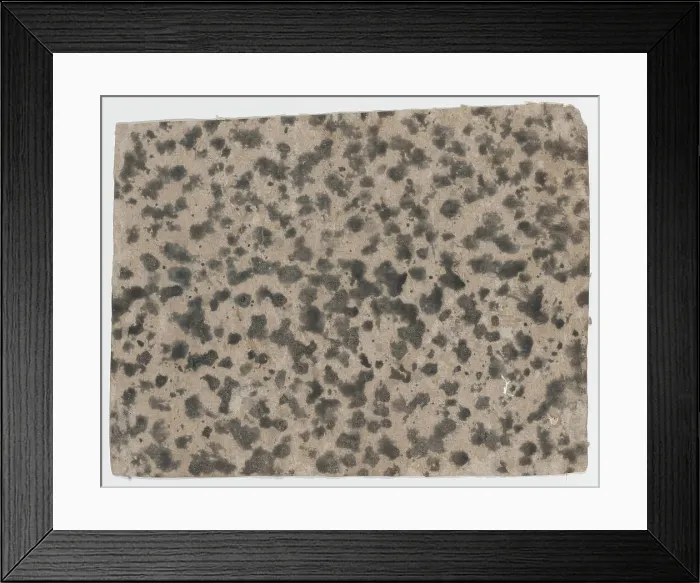 Framed Print : Sheet with an overall splotchy pattern, 19th century. Creator: Anon Framed Print : Sheet with an overall splotchy pattern, 19th century. Creator: Anon