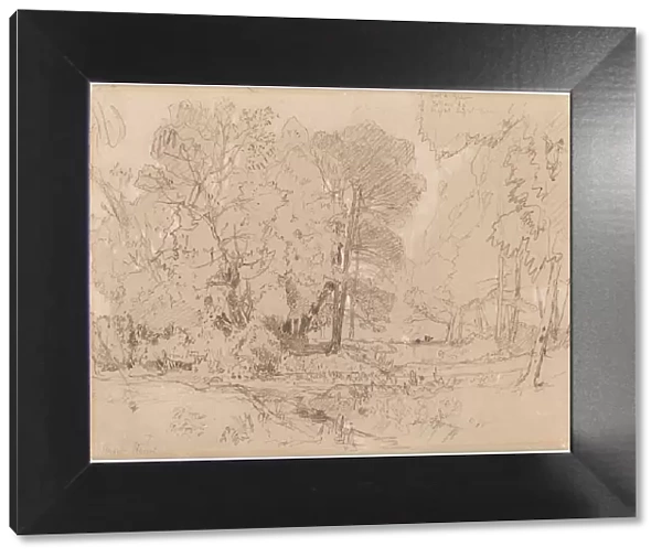 Wooded Landscape, probably 1841. Creator: John Sell Cotman