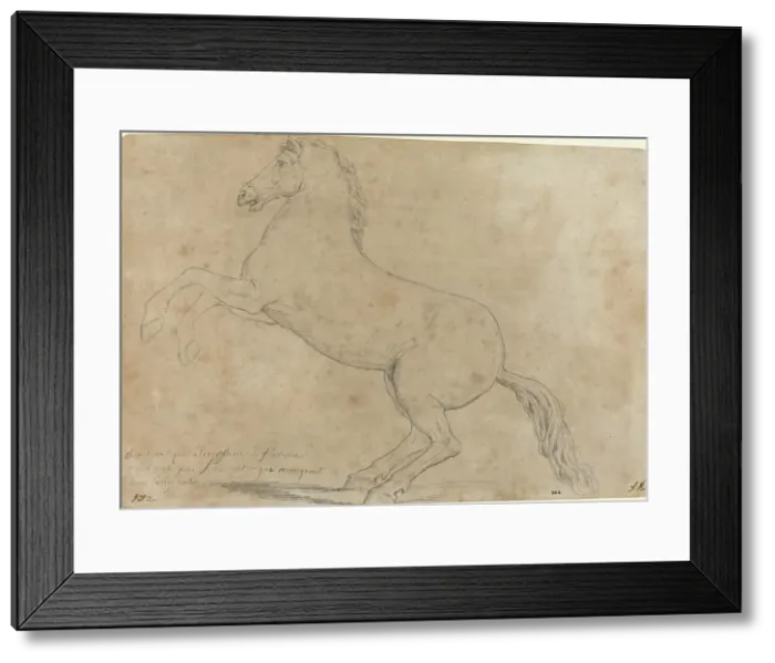 Framed Print : An Antique Sculpture of a Horse, 1780. Creator: Jacques-Louis David Framed Print : An Antique Sculpture of a Horse, 1780. Creator: Jacques-Louis David