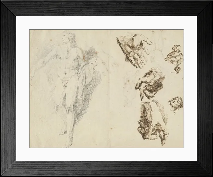 Framed Print : Apollo and Studies of the Artist's Own Hand [recto], 1730 / 1732. Creator: Francesco Fontebasso
