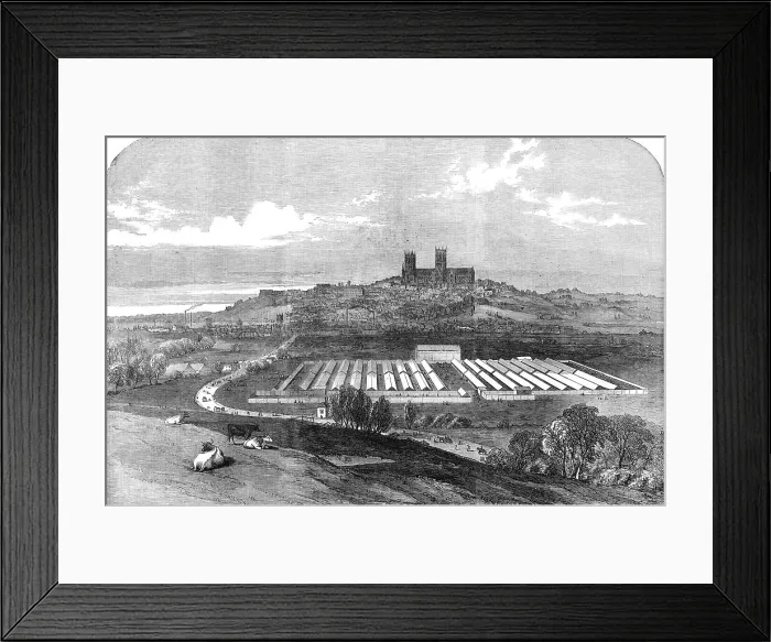 Framed Print : Meeting of the Royal Agricultural Society, at Lincoln, 1854. Creator: Unknown Framed Print : Meeting of the Royal Agricultural Society, at Lincoln, 1854. Creator: Unknown