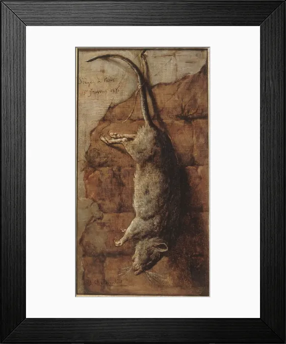 Framed Print : Rat ayant servi à l'alimentation pendant le siège de Paris, 15–01–1871. Creator: Auguste Charpentier Framed Print : Rat ayant servi à l'alimentation pendant le siège de Paris, 15–01–1871. Creator: Auguste Charpentier