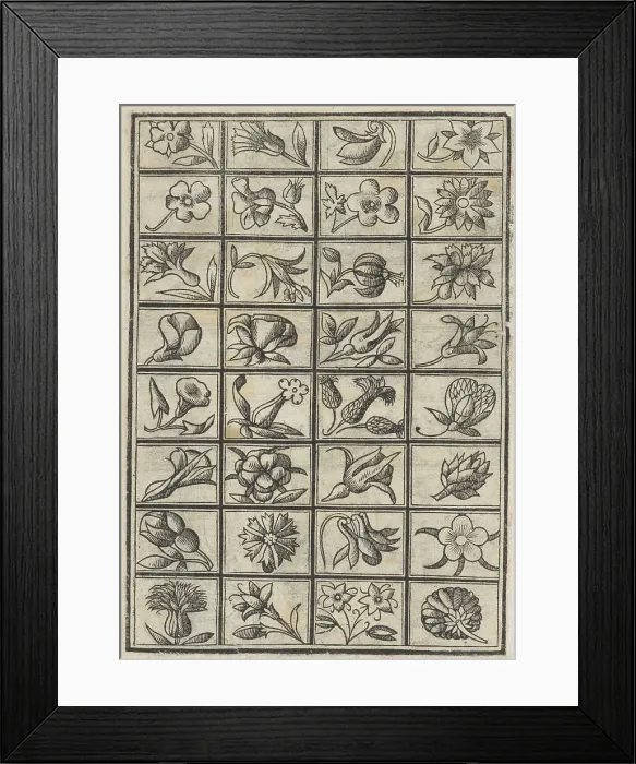 Framed Print : Trionfo Di Virtu. Libro Novo... page 3 (verso), 1563. Creator: Matteo Pagano Framed Print : Trionfo Di Virtu. Libro Novo... page 3 (verso), 1563. Creator: Matteo Pagano