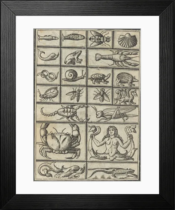 Framed Print : Trionfo Di Virtu. Libro Novo... page 23 (verso), 1563. Creator: Matteo Pagano Framed Print : Trionfo Di Virtu. Libro Novo... page 23 (verso), 1563. Creator: Matteo Pagano