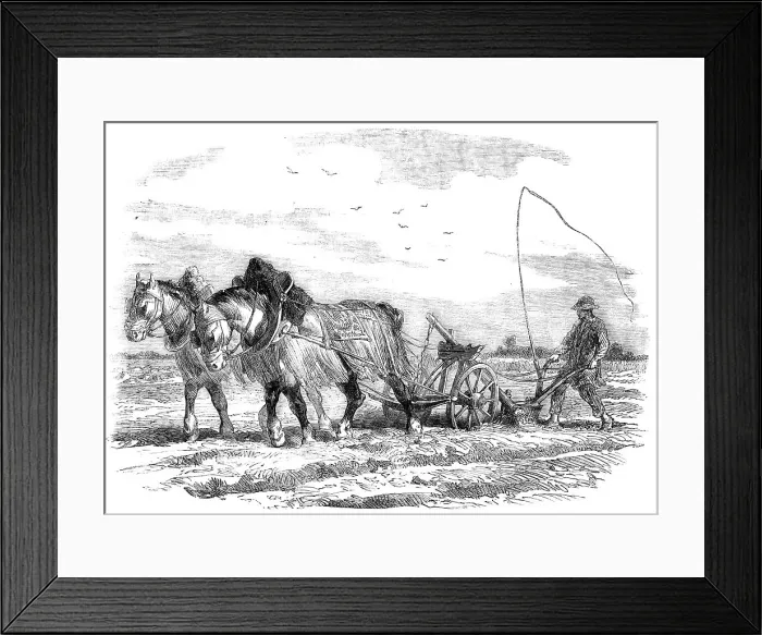 Framed Print : Ploughing in France, 1854. Creator: Unknown Framed Print : Ploughing in France, 1854. Creator: Unknown