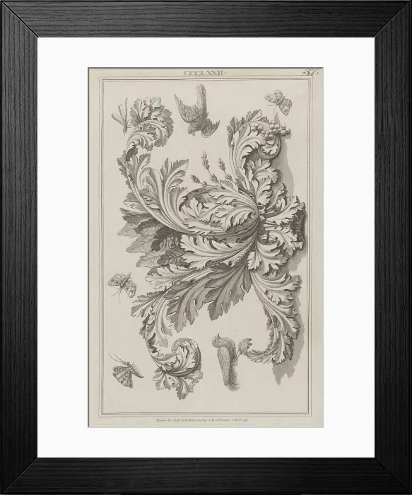 Framed Print : Acanthus Leaves, Birds and Insects, no. CCCLXXII ('Designs for Various Ornaments... April 1, 1792. Creator: Michelangelo Pergolesi. Acanthus Leaves, Birds and Insects, no. CCCLXXII ('Designs for Various Ornaments... April 1, 1792)