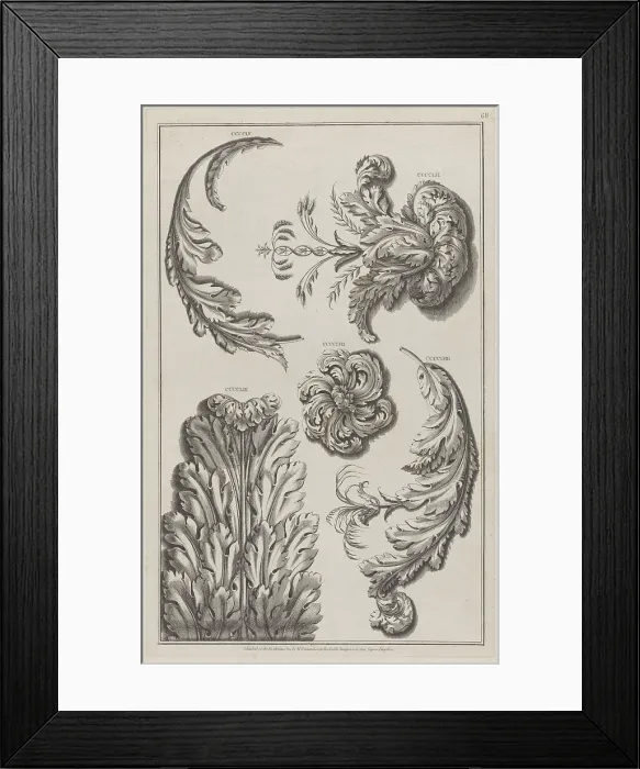 Framed Print : Varieties of Leaf Ornament, nos. CCCCLV-CCCCLIX ('Designs for Various Ornaments, pl. 68)... 1801. Creator: After Michelangelo Pergolesi. Varieties of Leaf Ornament, nos. CCCCLV-CCCCLIX ('Designs for Various Ornaments, pl) Framed Print : Varieties of Leaf Ornament, nos. CCCCLV-CCCCLIX ('Designs for Various Ornaments, pl. 68)... 1801. Creator: After Michelangelo Pergolesi. Varieties of Leaf Ornament, nos. CCCCLV-CCCCLIX ('Designs for Various Ornaments, pl)