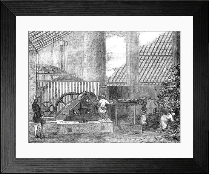 Framed Print : Brazilian Sugar-Mill, 1854. Creator: Unknown Framed Print : Brazilian Sugar-Mill, 1854. Creator: Unknown