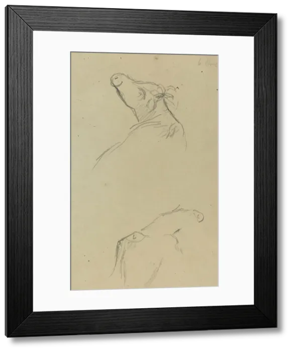 Framed Print : Two Cow's Heads [verso], 1884-1888. Creator: Paul Gauguin