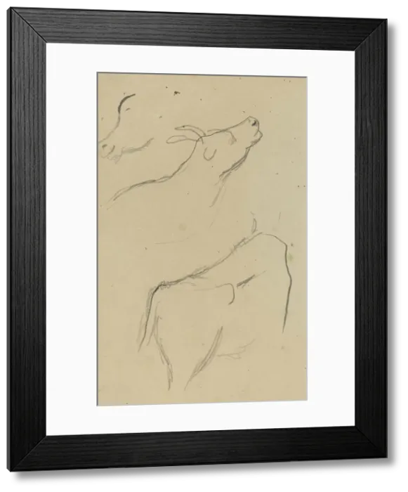 Framed Print : Studies of a Cow [verso], 1884-1888. Creator: Paul Gauguin