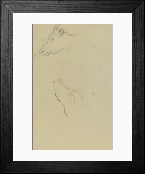 Framed Print : Head of a Cow [recto], 1884-1888. Creator: Paul Gauguin
