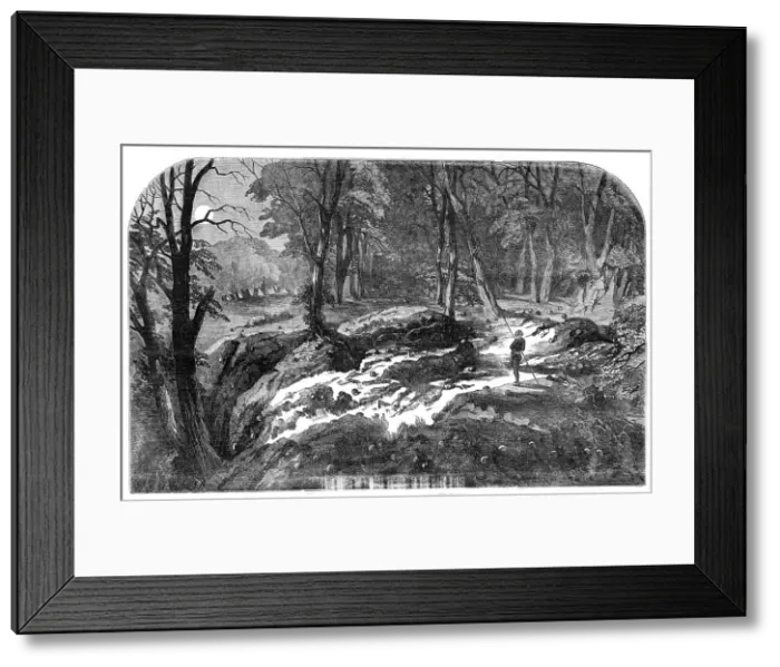 Framed Print : The Great Geological Wonder of New South Wales, 1854. Creator: Unknown. The Great Geological Wonder of New South Wales, 1854. Creator: Unknown Framed Print : The Great Geological Wonder of New South Wales, 1854. Creator: Unknown. The Great Geological Wonder of New South Wales, 1854. Creator: Unknown
