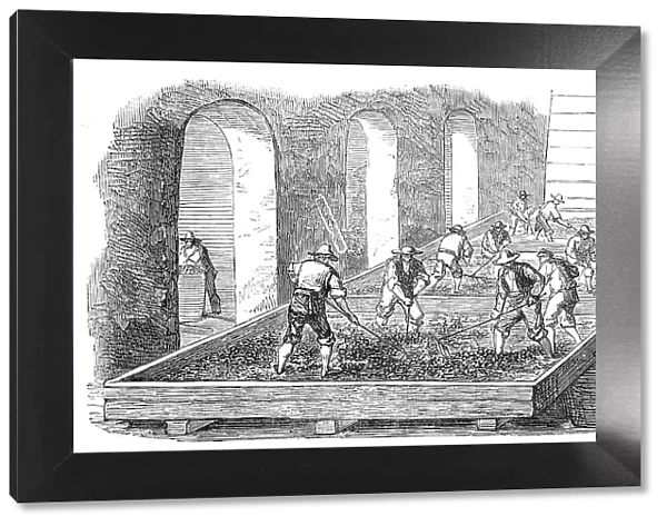 Wine-Making, at the Chateau Lafitte, 1854. Creator: Unknown