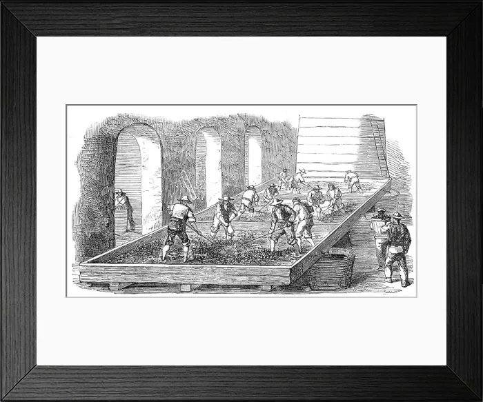 Framed Print : Wine-Making, at the Chateau Lafitte, 1854. Creator: Unknown Framed Print : Wine-Making, at the Chateau Lafitte, 1854. Creator: Unknown