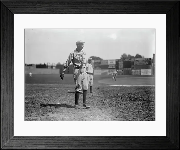 Framed Print : Baseball, Professional - St. Louis Players, 1913. Creator: Harris & Ewing. Baseball, Professional - St. Louis Players, 1913. Creator: Harris & Ewing Framed Print : Baseball, Professional - St. Louis Players, 1913. Creator: Harris & Ewing. Baseball, Professional - St. Louis Players, 1913. Creator: Harris & Ewing