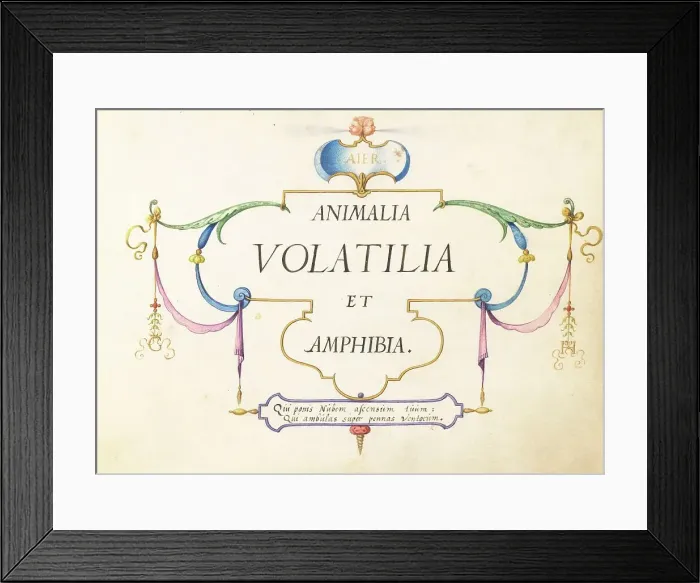 Framed Print : Animalia Volatilia et Amphibia (Aier): Title Page, c. 1575 / 1580. Creator: Joris Hoefnagel Framed Print : Animalia Volatilia et Amphibia (Aier): Title Page, c. 1575 / 1580. Creator: Joris Hoefnagel