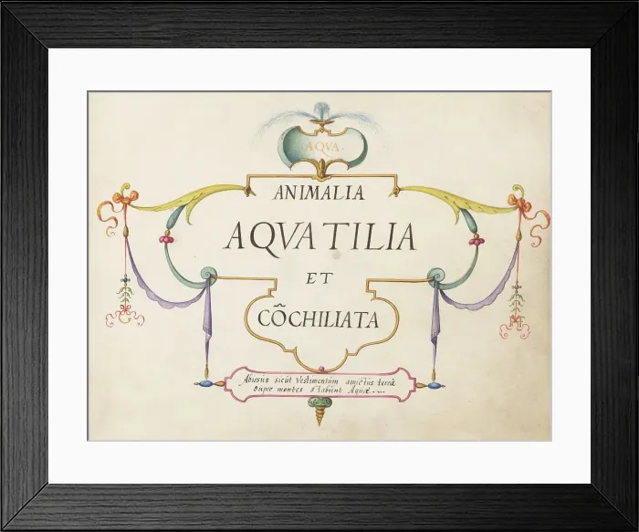 Framed Print : Animalia Aqvatilia et Cochiliata (Aqva): Title Page, c. 1575 / 1580. Creator: Joris Hoefnagel Framed Print : Animalia Aqvatilia et Cochiliata (Aqva): Title Page, c. 1575 / 1580. Creator: Joris Hoefnagel
