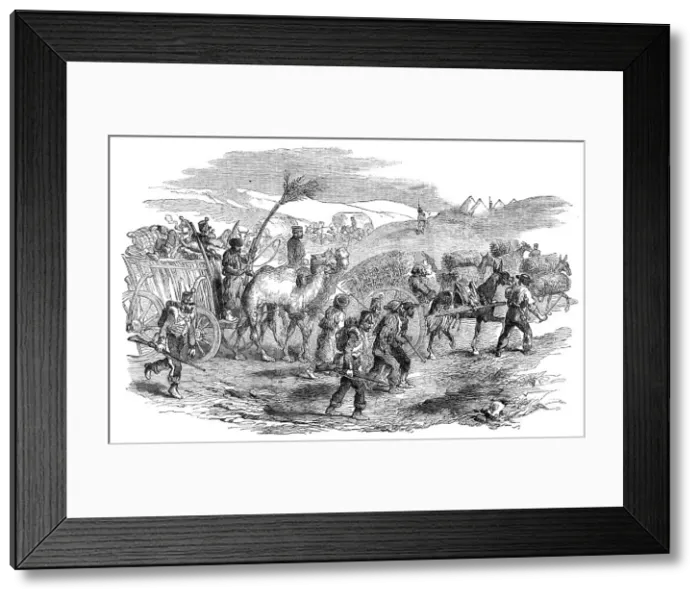 Framed Print : The Road to Sebastopol - Commissariat Waggons, Conveyances of Fascines, etc, 1854. Creator: Unknown Framed Print : The Road to Sebastopol - Commissariat Waggons, Conveyances of Fascines, etc, 1854. Creator: Unknown