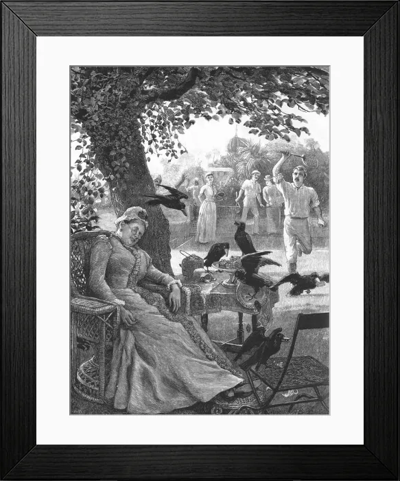 Framed Print : Unwelcome Visitors - Crows at a Tennis Party in India, 1891. Creator: R Barnes Framed Print : Unwelcome Visitors - Crows at a Tennis Party in India, 1891. Creator: R Barnes