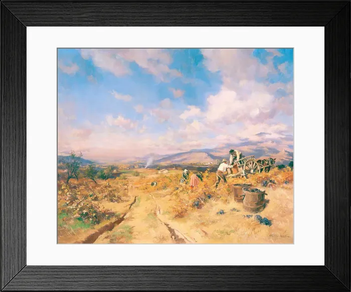 Framed Print : Grape harvest in Provence, c. 1815. Creator: Martin, Étienne (1858-1945) Framed Print : Grape harvest in Provence, c. 1815. Creator: Martin, Étienne (1858-1945)