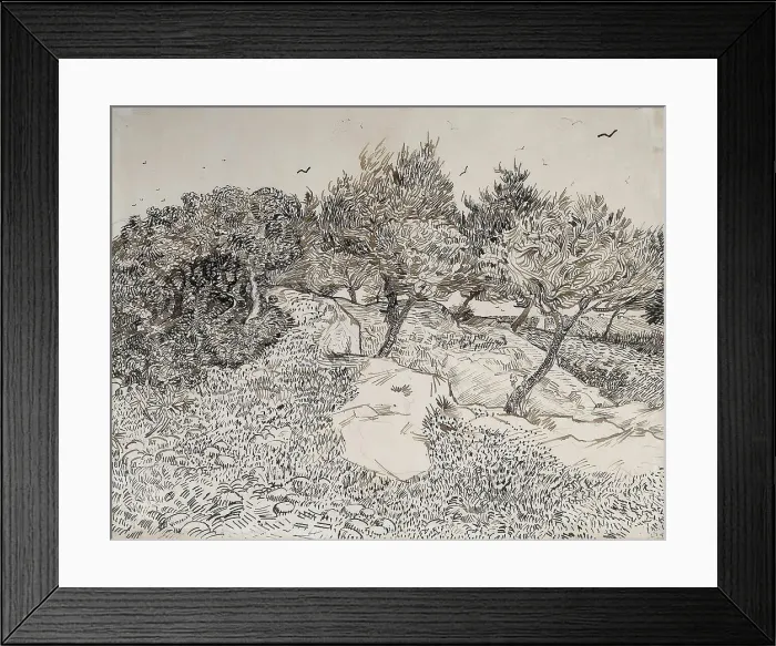 Framed Print : Oliviers à Montmajour, 1888. Creator: Gogh, Vincent, van (1853-1890) Framed Print : Oliviers à Montmajour, 1888. Creator: Gogh, Vincent, van (1853-1890)