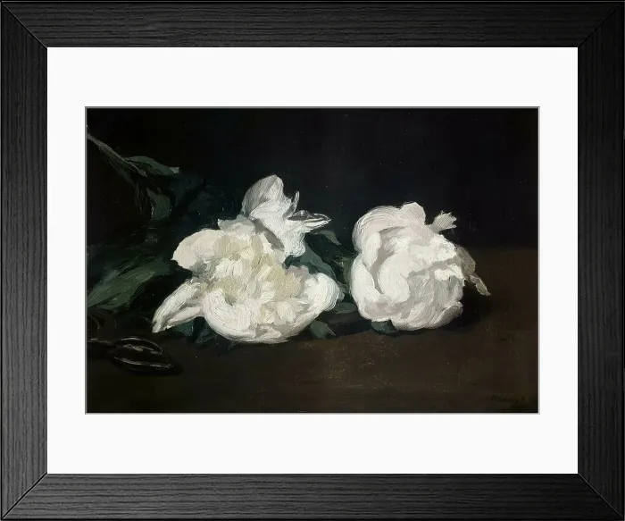 Framed Print : Branche de pivoines blanches et sécateur, 1864. Creator: Manet, Édouard (1832-1883) Framed Print : Branche de pivoines blanches et sécateur, 1864. Creator: Manet, Édouard (1832-1883)