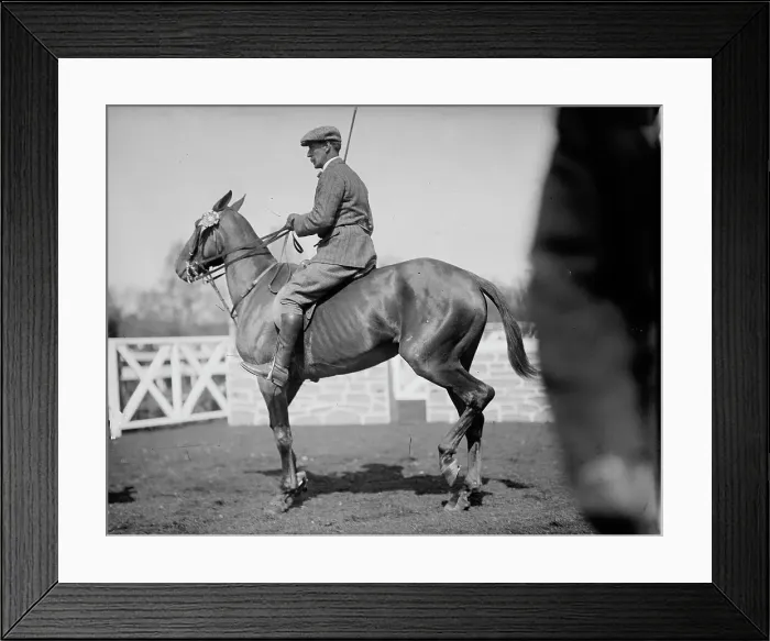 Framed Print : Horse Shows - Unidentified Men, Mtd. Or Hurdling, 1911. Creator: Harris & Ewing. Horse Shows - Unidentified Men, Mtd. Or Hurdling, 1911. Creator: Harris & Ewing Framed Print : Horse Shows - Unidentified Men, Mtd. Or Hurdling, 1911. Creator: Harris & Ewing. Horse Shows - Unidentified Men, Mtd. Or Hurdling, 1911. Creator: Harris & Ewing