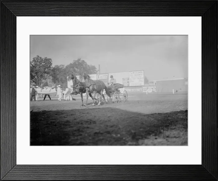 Framed Print : Horse Shows - E.T. Stotesbury Driving, 1910. Creator: Harris & Ewing. Horse Shows - E.T. Stotesbury Driving, 1910. Creator: Harris & Ewing Framed Print : Horse Shows - E.T. Stotesbury Driving, 1910. Creator: Harris & Ewing. Horse Shows - E.T. Stotesbury Driving, 1910. Creator: Harris & Ewing