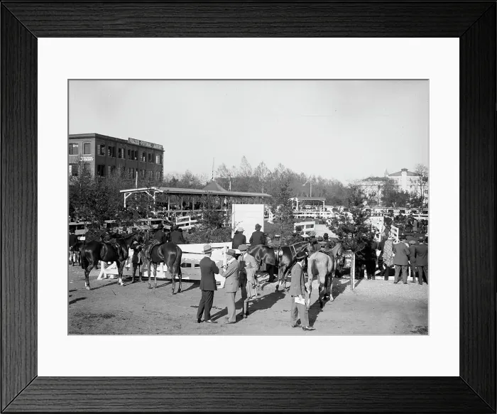 Framed Print : Horse Shows - General Views, 1912. Creator: Harris & Ewing. Horse Shows - General Views, 1912. Creator: Harris & Ewing Framed Print : Horse Shows - General Views, 1912. Creator: Harris & Ewing. Horse Shows - General Views, 1912. Creator: Harris & Ewing