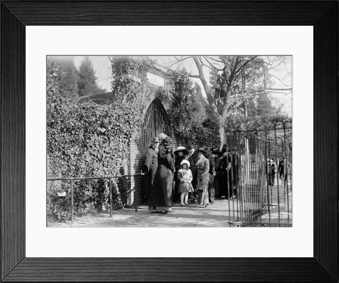 Framed Print : Mount Vernon - Tomb of Washington, 1911. Creator: Harris & Ewing. Mount Vernon - Tomb of Washington, 1911. Creator: Harris & Ewing Framed Print : Mount Vernon - Tomb of Washington, 1911. Creator: Harris & Ewing. Mount Vernon - Tomb of Washington, 1911. Creator: Harris & Ewing