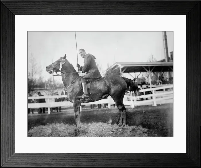 Framed Print : Horse Shows - Hugh Legare On Red Bird, 1912. Creator: Harris & Ewing. Horse Shows - Hugh Legare On Red Bird, 1912. Creator: Harris & Ewing Framed Print : Horse Shows - Hugh Legare On Red Bird, 1912. Creator: Harris & Ewing. Horse Shows - Hugh Legare On Red Bird, 1912. Creator: Harris & Ewing