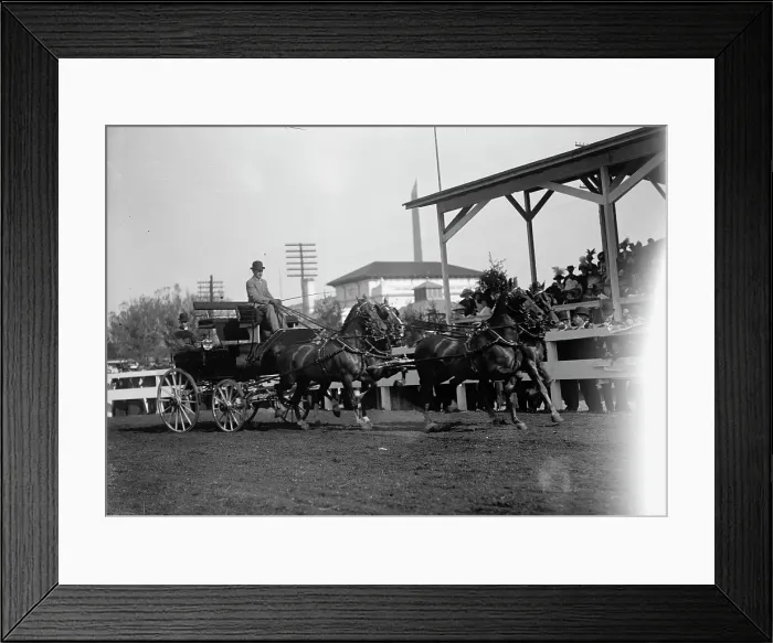 Framed Print : Horse Shows - 4-Horse Teams, 1912. Creator: Harris & Ewing. Horse Shows - 4-Horse Teams, 1912. Creator: Harris & Ewing Framed Print : Horse Shows - 4-Horse Teams, 1912. Creator: Harris & Ewing. Horse Shows - 4-Horse Teams, 1912. Creator: Harris & Ewing