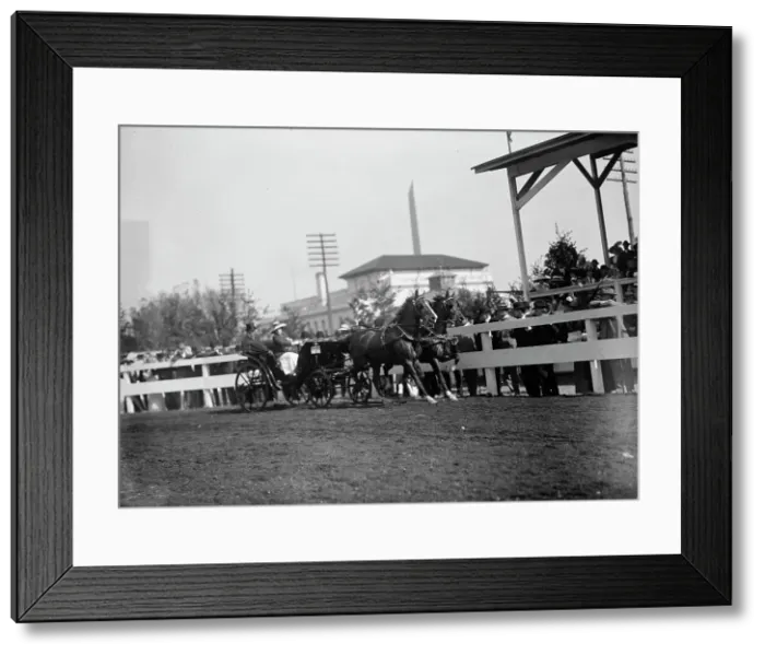 Framed Print : Horse Shows - Team, 1912. Creator: Harris & Ewing. Horse Shows - Team, 1912. Creator: Harris & Ewing Framed Print : Horse Shows - Team, 1912. Creator: Harris & Ewing. Horse Shows - Team, 1912. Creator: Harris & Ewing