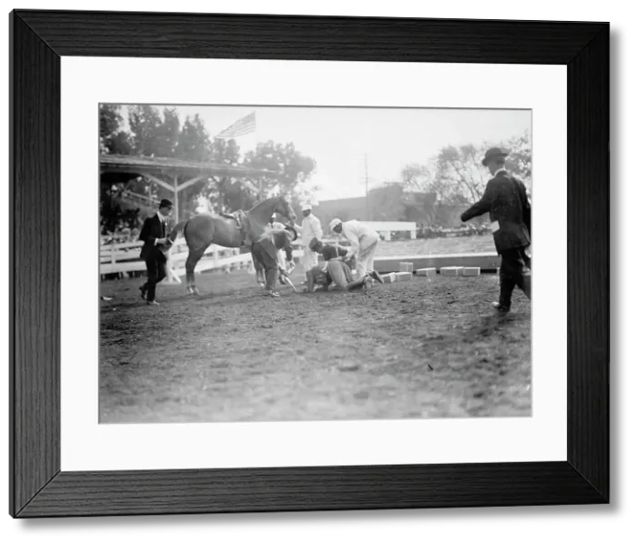 Framed Print : Horse Shows - Victor Mather Falling From Pagan Kin, 1912. Creator: Harris & Ewing. Horse Shows - Victor Mather Falling From Pagan Kin, 1912. Creator: Harris & Ewing Framed Print : Horse Shows - Victor Mather Falling From Pagan Kin, 1912. Creator: Harris & Ewing. Horse Shows - Victor Mather Falling From Pagan Kin, 1912. Creator: Harris & Ewing
