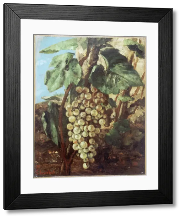 Framed Print : Grappe de raisins, 1871. Creator: Gustave Courbet Framed Print : Grappe de raisins, 1871. Creator: Gustave Courbet