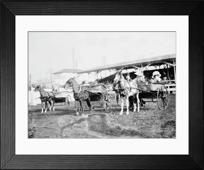 Framed Print : Horse Shows - Children And Ponies, 1912. Creator: Harris & Ewing. Horse Shows - Children And Ponies, 1912. Creator: Harris & Ewing Framed Print : Horse Shows - Children And Ponies, 1912. Creator: Harris & Ewing. Horse Shows - Children And Ponies, 1912. Creator: Harris & Ewing