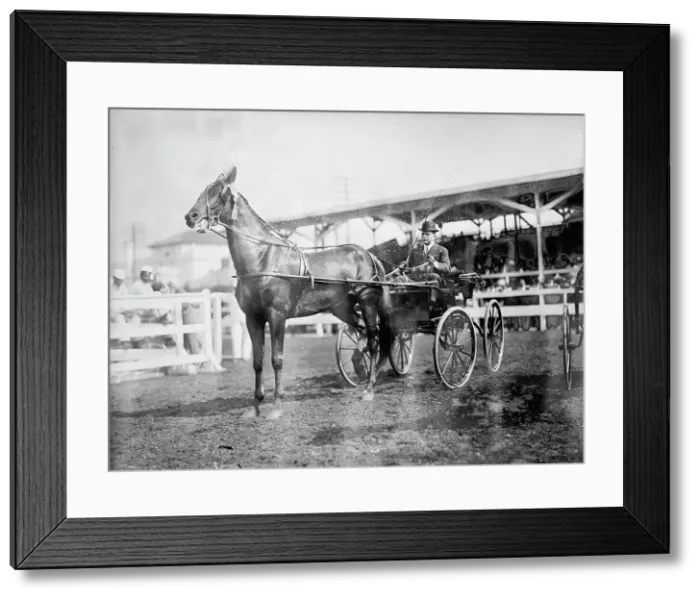 Framed Print : Gheen, J.O - Driving Boscobel In Horse Show, 1912. Creator: Harris & Ewing. Gheen, J.O - Driving Boscobel In Horse Show, 1912. Creator: Harris & Ewing Framed Print : Gheen, J.O - Driving Boscobel In Horse Show, 1912. Creator: Harris & Ewing. Gheen, J.O - Driving Boscobel In Horse Show, 1912. Creator: Harris & Ewing