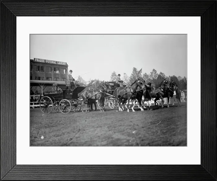 Framed Print : Horse Shows - 4-Horse Teams, 1912. Creator: Harris & Ewing. Horse Shows - 4-Horse Teams, 1912. Creator: Harris & Ewing Framed Print : Horse Shows - 4-Horse Teams, 1912. Creator: Harris & Ewing. Horse Shows - 4-Horse Teams, 1912. Creator: Harris & Ewing