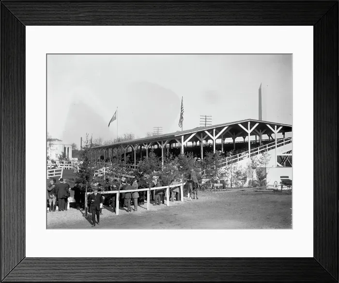 Framed Print : Horse Shows - General Views, 1912. Creator: Harris & Ewing. Horse Shows - General Views, 1912. Creator: Harris & Ewing Framed Print : Horse Shows - General Views, 1912. Creator: Harris & Ewing. Horse Shows - General Views, 1912. Creator: Harris & Ewing