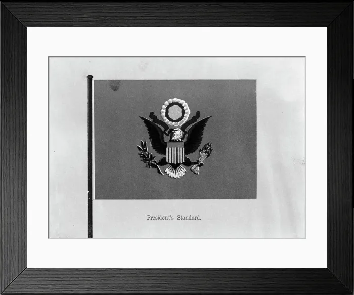 Framed Print : Flags. President's Standard, 1911. Creator: Harris & Ewing. Flags. President's Standard, 1911. Creator: Harris & Ewing Framed Print : Flags. President's Standard, 1911. Creator: Harris & Ewing. Flags. President's Standard, 1911. Creator: Harris & Ewing