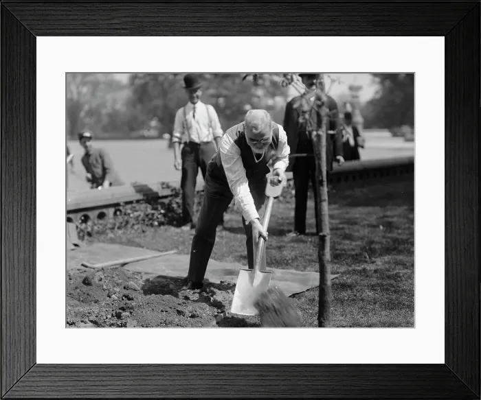 Framed Print : James R. Mann, Rep. from Illinois, Planting Tree At Capitol, 1912. Creator: Harris & Ewing. James R. Mann, Rep. from Illinois, Planting Tree At Capitol, 1912. Creator: Harris & Ewing