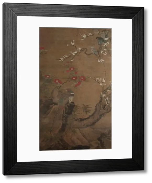 Framed Print : Pheasants and camellias, 1700-1800. Creator: Unknown Framed Print : Pheasants and camellias, 1700-1800. Creator: Unknown