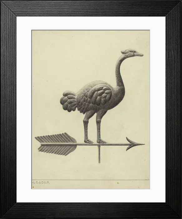 Framed Print : Ostrich Weather Vane, c. 1937. Creator: Herman Bader Framed Print : Ostrich Weather Vane, c. 1937. Creator: Herman Bader
