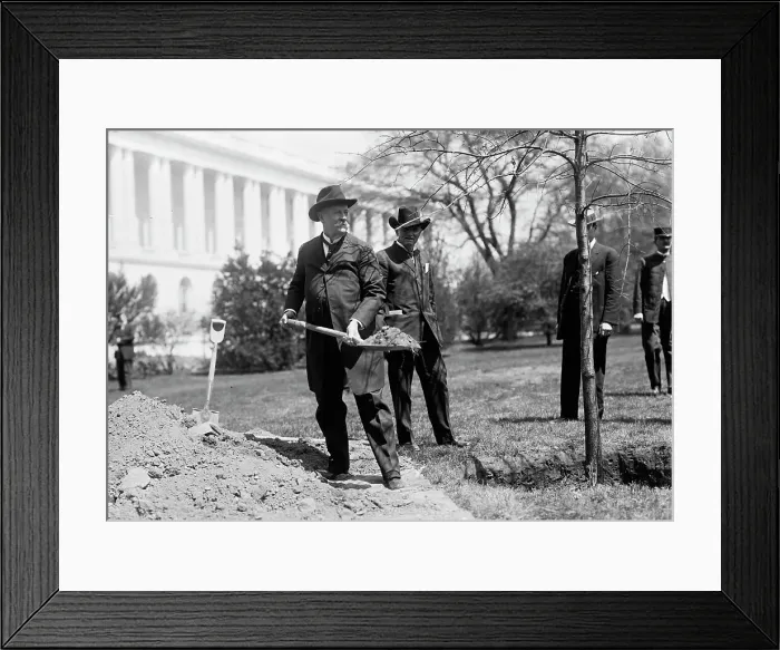 Framed Print : Augustus Octavius Bacon, Senator From Georgia. Left, Planting Tree At Capitol, 1911. Creator: Harris & Ewing. Augustus Octavius Bacon, Senator From Georgia. Left, Planting Tree At Capitol, 1911. Creator: Harris & Ewing Framed Print : Augustus Octavius Bacon, Senator From Georgia. Left, Planting Tree At Capitol, 1911. Creator: Harris & Ewing. Augustus Octavius Bacon, Senator From Georgia. Left, Planting Tree At Capitol, 1911. Creator: Harris & Ewing