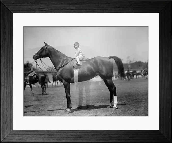 Framed Print : Horse Shows - Baby Vincent Mclean On Indian Flower, 1912. Creator: Harris & Ewing. Horse Shows - Baby Vincent Mclean On Indian Flower, 1912. Creator: Harris & Ewing Framed Print : Horse Shows - Baby Vincent Mclean On Indian Flower, 1912. Creator: Harris & Ewing. Horse Shows - Baby Vincent Mclean On Indian Flower, 1912. Creator: Harris & Ewing