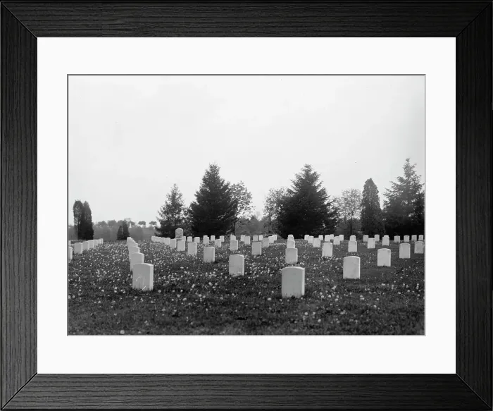 Framed Print : Arlington National Cemetery - Views, 1912. Creator: Harris & Ewing. Arlington National Cemetery - Views, 1912. Creator: Harris & Ewing Framed Print : Arlington National Cemetery - Views, 1912. Creator: Harris & Ewing. Arlington National Cemetery - Views, 1912. Creator: Harris & Ewing