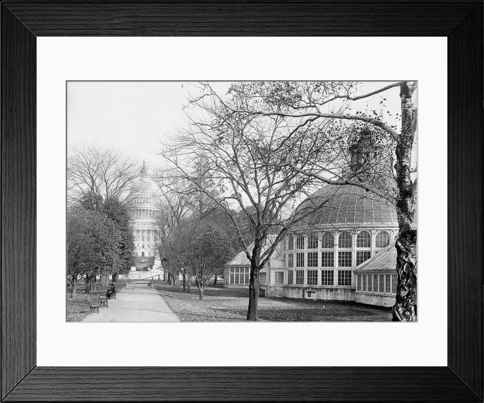 Framed Print : Botanical Gardens At The Capitol, 1917. Creator: Harris & Ewing. Botanical Gardens At The Capitol, 1917. Creator: Harris & Ewing Framed Print : Botanical Gardens At The Capitol, 1917. Creator: Harris & Ewing. Botanical Gardens At The Capitol, 1917. Creator: Harris & Ewing